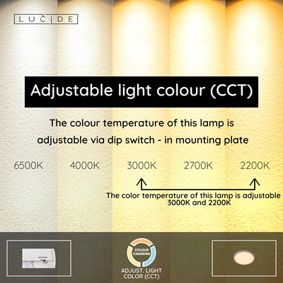 Lucide RINUS - Flush ceiling light Bathroom - Ø 30 cm - LED - CCT - 1x18W 2200K/3000K - IP44 - Opal - Essential